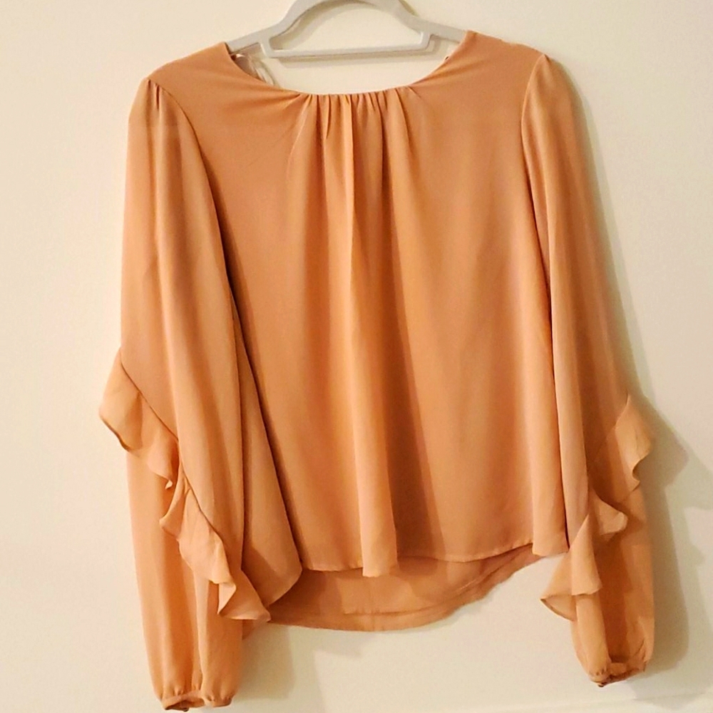 Ruffled sleeved chiffon top